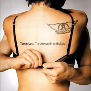 AEROSMITH - YOUNG LUST - THE AEROSMITH ANTHOLOGY
