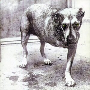 ALICE IN CHAINS - ALICE IN CHAINS (IMPORTADO)