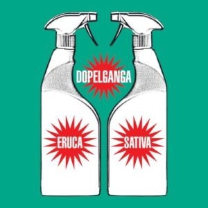 ERUCA SATIVA - DOPELGANGA