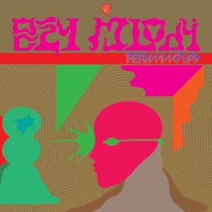 FLAMING LIPS THE - OCZY MLODY