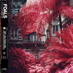 FOALS - EVERYTHING NOT SAVED WILL BE LOST 1