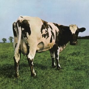 PINK FLOYD - ATOM HEART MOTHER (DVERSION)