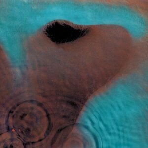 PINK FLOYD - MEDDLE (DVERSION)
